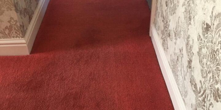 Business Carpet 6