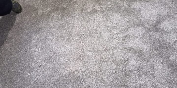 Business Carpet 5